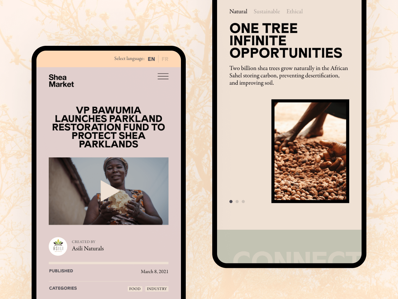 Two iphones against an orange-pink tye-dye background. One shows an article about a restoration fund with a video of a woman gesturing. The other has black text that reads: &quot;One tree infinite opportunities&quot; with a tan design and an image of hands rooting through a pile of shea nuts.
